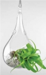 Hanging Glass Holder