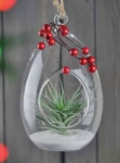 Hanging Glass Holder