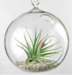 Hanging Glass Holder