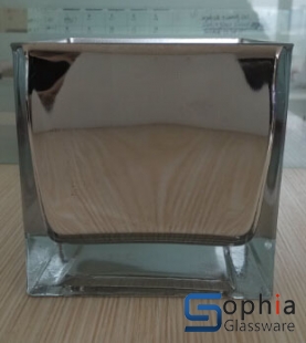 Silver Glass Vases