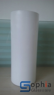 Solid Color Glass Vase SCS006
