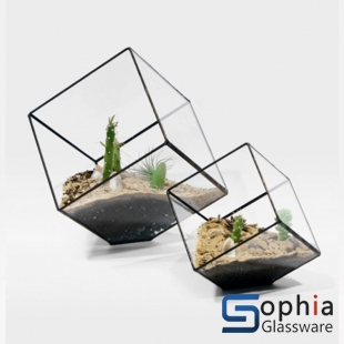 Terrariums SHF021