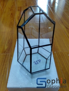 Terrariums SHF005