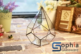 Terrariums SHF001