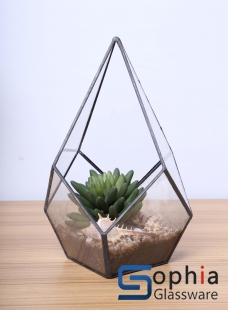 Terrariums SHF003