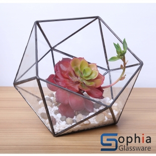 Terrariums SHF004