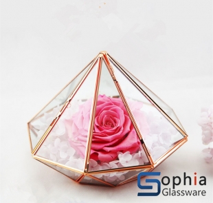 Terrariums SHF027