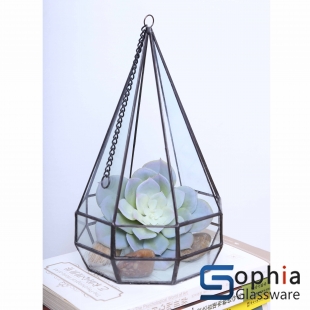 Terrariums SHF007