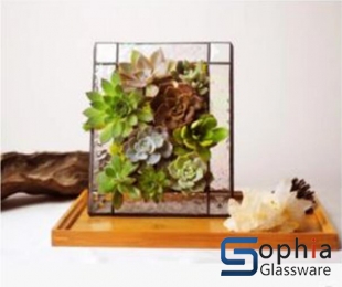 Terrariums SHF008