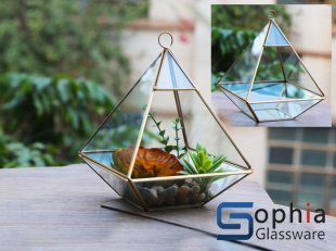 Terrariums SHF013