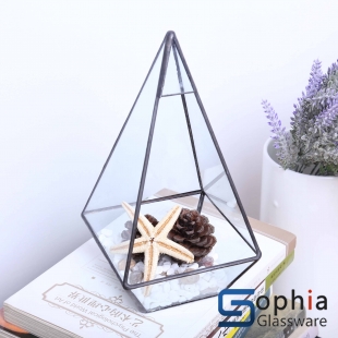Terrariums SHF014