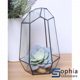 Terrariums SHF015