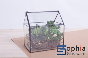 Terrariums SHF016