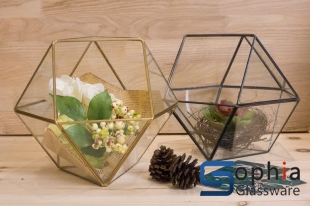 Terrariums SHF017