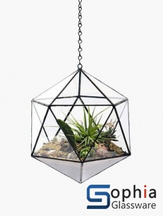 Terrariums SHF018