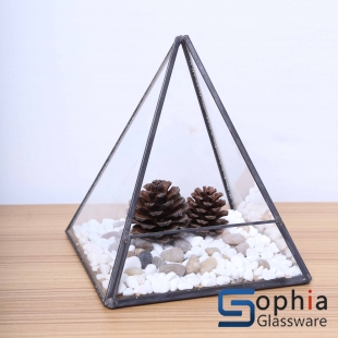 Terrariums SHF019