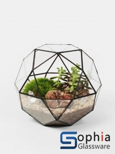 Terrariums SHF023