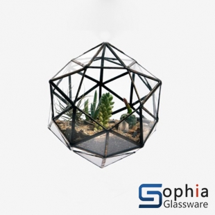 Terrariums SHF024