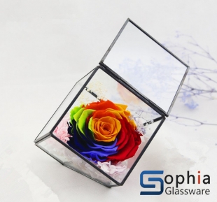 Terrariums SHF025