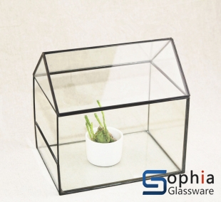 Terrariums SHF026