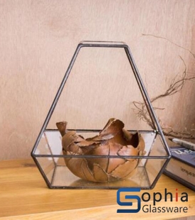 Terrariums SHF011
