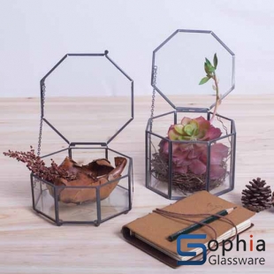 Terrariums SHF030