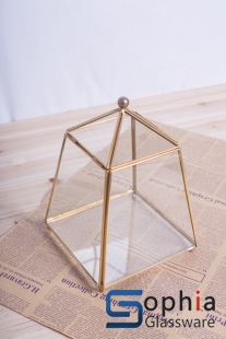 Terrariums SHF037