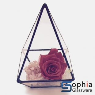 Terrariums SHF038