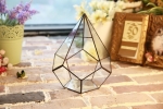 Terrariums SHF001