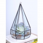 Terrariums SHF007