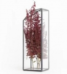Terrariums SHF012
