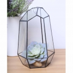 Terrariums SHF015