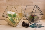 Terrariums SHF017