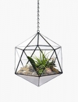 Terrariums SHF018