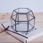 Terrariums SHF020