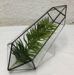 Terrariums SHF022