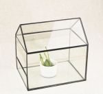 Terrariums SHF026