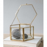 Terrariums SHF031