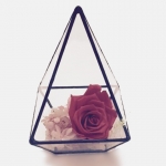 Terrariums SHF038
