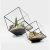 Terrariums SHF021