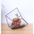 Terrariums SHF021