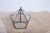 Terrariums SHF028