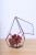 Terrariums SHF003