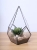 Terrariums SHF003