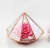 Terrariums SHF027