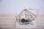 Terrariums SHF027