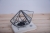 Terrariums SHF027