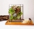 Terrariums SHF008