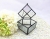 Terrariums SHF010