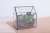 Terrariums SHF016